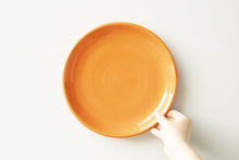 画像をギャラリービューアに読み込む, オービット 26cmディナー皿