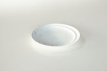 画像をギャラリービューアに読み込む, アルコ ジェル 21.5cmプレート