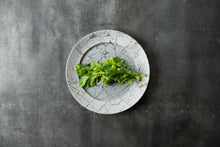 画像をギャラリービューアに読み込む, ROOTS テール 28cmプレートスクラッチ